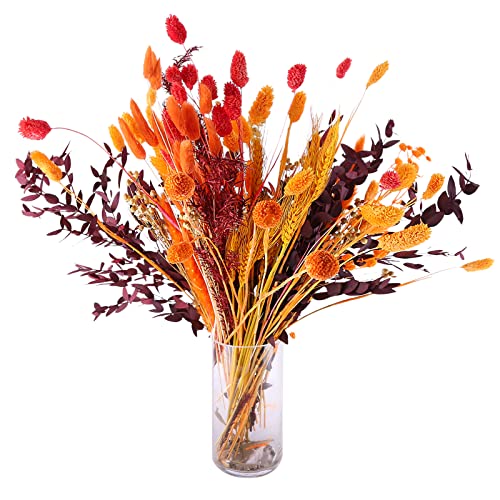 Pampasgras Getrocknet Natürliche Trockenblumen 100 Stück Trockenblumen Herbst Getrocknete Blumen Getrocknete Blumenarrangements für Zuhause, Hochzeit, Tischdekoration von SHANGMAOYO