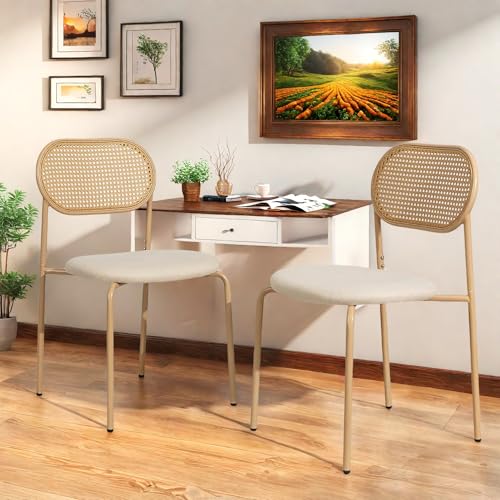 Esszimmerstühle 2er Set, Gepolsterte Küchenstuhl mit Rattan Rückenlehne, Akzentstühle mit Metallbeinen, Holz Stühle für Esszimmer Küche Wohnzimmer, 48 × 44.5×80.5cm Esszimmerstühle 2er Set, Gepolsterte Küchenstuhl mit Rattan Rückenlehne, Akzentstühle mit Metallbeinen, Holz Stühle für Esszimmer Küche Wohnzimmer, 48 × 44.5×80.5cm von SHAODENG
