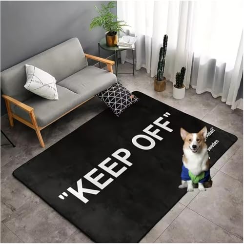 SHAOPENGA Halten Sie Sich Von Teppich Dekor Teppiche Wohnzimmer Zuhause Freizeitbereich Rutschfester Teppich Nachttisch Weiche Fußmatten Indoor Extrance Fußmatte 50X80Cm von SHAOPENGA