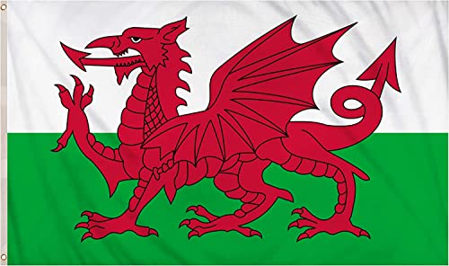 SHATCHI Große Wales-Flagge, walisischer Drache, Cymru-Nationalflagge, Polyesterstoff, Messingösen, für FIFA-Weltmeisterschaft für Fußball-, Rugby-Sport-Fans, Rot, Grün, Weiß, 1,5 x 91,4 cm von SHATCHI