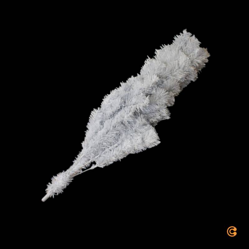 Shatchi Weihnachtsbaum Baum Tanne Alaskan Kiefer Schnee Weiß Siehe Text/Fotos B-Ware von SHATCHI
