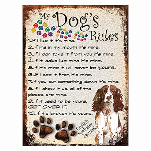 Shawprint Metall-Blechschild mit Aufschrift "My Dog 's Rules", Retro-Stil, englisches Springer-Spaniel-Braun von SHAWPRINT