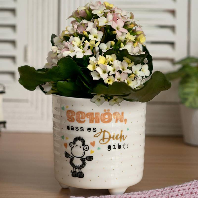 Blumenübertopf »Schön, dass es Dich gibt!« von SHEEPWORLD