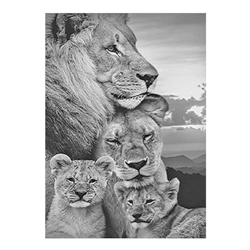 SHEGZHUC Diamond Painting Löwe und Löwin 40x50cm Diamond Painting Löwe Schwarz Weiß Malen nach Zahlen Löwe 5D Diamant Painting Löwe Diamond Painting Tiere Perlenbilder Erwachsene Tiere Craft Buddy SHEGZHUC Diamond Painting Löwe und Löwin 40x50cm Diamond Painting Löwe Schwarz Weiß Malen nach Zahlen Löwe 5D Diamant Painting Löwe Diamond Painting Tiere Perlenbilder Erwachsene Tiere Craft Buddy von SHEGZHUC