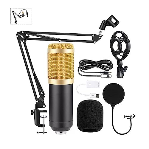 Soundkarten-Kit, BM800 V10XPro Mixer Soundkarte Studio Audio Mixer Singen Noise Reduction Mikrofon Stimme Live Broadcast Telefon Computer Rekord(BM800 Gold Set) von SHEHUALI