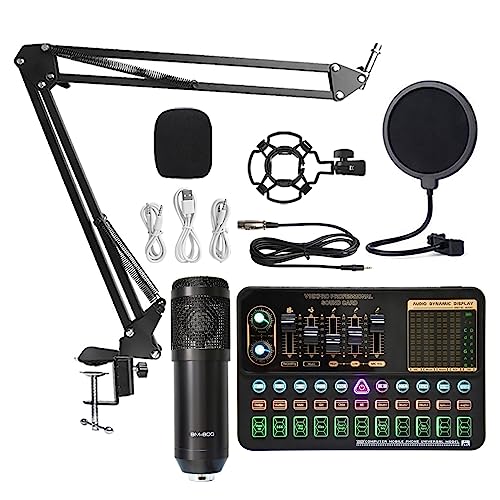 Soundkarten-Kit, BM800 V10XPro Mixer Soundkarte Studio Audio Mixer Singen Noise Reduction Mikrofon Stimme Live Broadcast Telefon Computer Rekord(V10XPro Set A1) von SHEHUALI