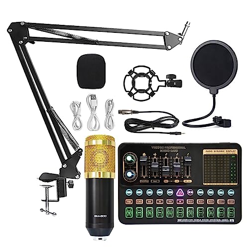 Soundkarten-Kit, BM800 V10XPro Mixer Soundkarte Studio Audio Mixer Singen Noise Reduction Mikrofon Stimme Live Broadcast Telefon Computer Rekord(V10XPro Set A3) von SHEHUALI