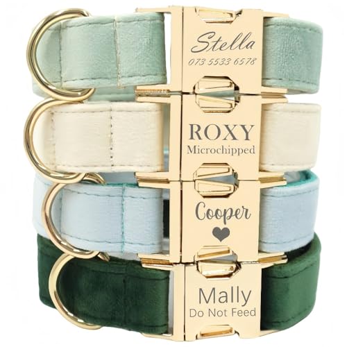 Personalisierte Hundehalsband Mit Metallschnalle, Benutzerdefinierte Für Mädchen Jungen Hund Eingraviert Name/Telefon Einstellbar Haustier Halsband Für Kleine Mittlere Große Hunde(Velvet style) von SHENGBEIDZ