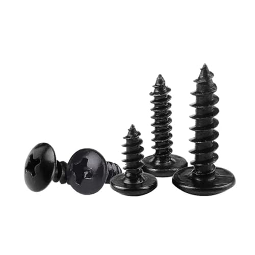 SHENGG 50 teile/los M2.6 M3 M3.5 M4 M5 Kopf Kreuzschlitz Blechschrauben(40mm x50pcs,M5) von SHENGG