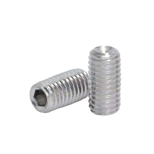 SHENGG Edelstahl 304 DIN916 Innensechskantschraube mit Ringschneide M1.6 M2 M2.5 M3 M4 M5 M6(4mm,M2.5 (100pcs)) von SHENGG