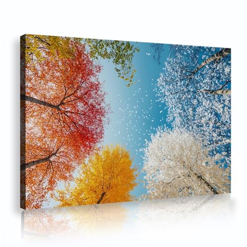 SHENGPOSTER Vier Jahreszeiten Landschaft Wandkunst Leinwand Bilder Bunte Baumkronen Blauer Himmel Leinwand Wandkunst für Flur Schlafzimmer Wohnzimmer Dekor 80x120cm Innenrahmen SHENGPOSTER Vier Jahreszeiten Landschaft Wandkunst Leinwand Bilder Bunte Baumkronen Blauer Himmel Leinwand Wandkunst für Flur Schlafzimmer Wohnzimmer Dekor 80x120cm Innenrahmen von SHENGPOSTER
