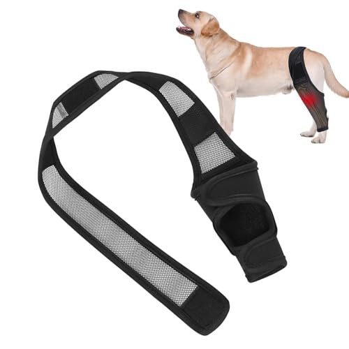 SHENGYIG XL Leckschutz für Hunde-Verstellbare Hundebandage Hinterbein (Schwarz)-Kniebandage für Hunde mit Beinschutz-Unterstützt Vorde-& Hinterbeine-Ideal bei Inkontinenz, Wunden & Gelenkproblemen von SHENGYIG