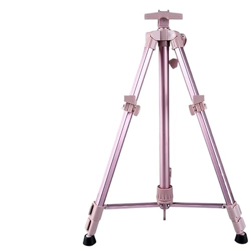 Staffelei zum Malen Stilvolles Farbstativ, leichte, tragbare Kunststaffelei for Reisen for Maler(Color 2) von SHENJMAI