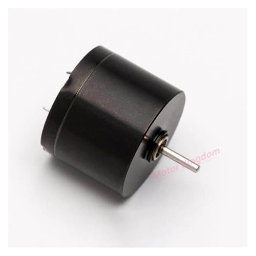 20mm*16mm Coreless DC electronic starter 12V 12000RPM High Speed Engine for Tattoo Machine von SHFTQXSLAT