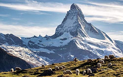 SHILIHOME Matterhorn in Zermatt Malen nach Zahlen DIY einzigartig SHILIHOME Matterhorn in Zermatt Malen nach Zahlen DIY einzigartig von SHILIHOME