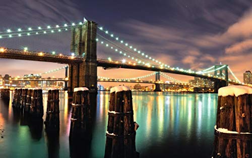 SHILIHOME New York Brooklyn Bridge Malen nach Zahlen DIY einzigartig von SHILIHOME