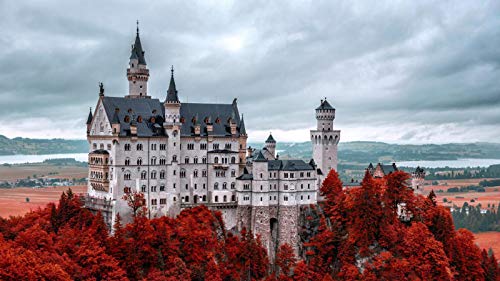 SHILIHOME Schloss Neuschwanstein Deutschland Gemälde Nach Zahlen DIY Unique von SHILIHOME