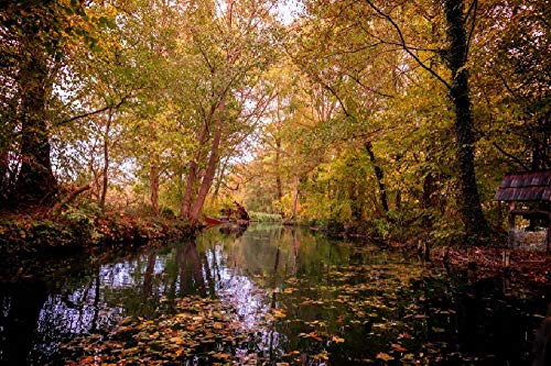 Schöne Landschaft im Spreewald County Deutschland Malerei nach Zahlen DIY Einzigartig von SHILIHOME