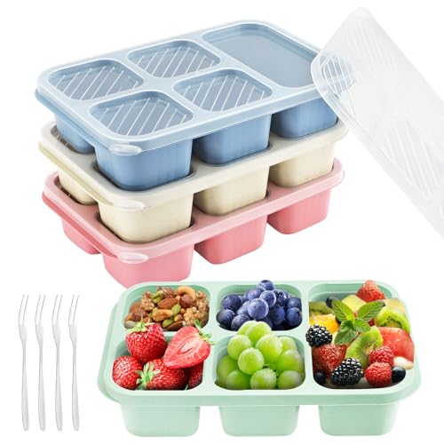 4 Stück Snackbox mit Fächern Kinder, Bento Box Erwachsene Brotdose mit Fächern, Wiederverwendbare Lunchbox Snackdose Snack-Behälter Jausenbox mit Gabeln für Schule Arbeit Reisen (5 Fächern) von SHILIPAIJC