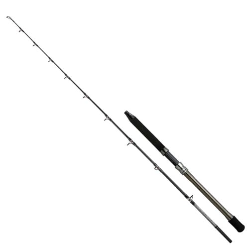 SPEEDMASTER AX Deep Drop 6'9, 800-1500g, 1+1pc SPEEDMASTER AX Deep Drop 6'9, 800-1500g, 1+1pc von SHIMANO