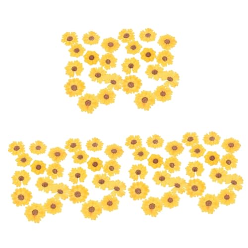 SHINEOFI 3 Sätze DIY Prägung Gedrückt Blumen Künstlich Gänseblümchen Drücken Scrapbook Scheckheft Decor Bastelbedarf Handgefertigte Dekoration Serpentinen-Chrysantheme Yellow Stück * 3 SHINEOFI 3 Sätze DIY Prägung Gedrückt Blumen Künstlich Gänseblümchen Drücken Scrapbook Scheckheft Decor Bastelbedarf Handgefertigte Dekoration Serpentinen-Chrysantheme Yellow Stück * 3 von SHINEOFI