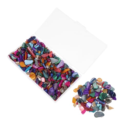 SHINEOFI Dekorative Muschelfragmente Unregelmäßige Muschelsplitter für DIY Bastelprojekte Vasenfüller Vielseitig Einsetzbar für Kerzenhalter und Stifthalter Praktische SHINEOFI Dekorative Muschelfragmente Unregelmäßige Muschelsplitter für DIY Bastelprojekte Vasenfüller Vielseitig Einsetzbar für Kerzenhalter und Stifthalter Praktische von SHINEOFI