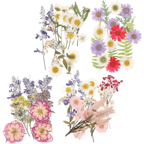 SHINEOFI Getrocknete Blumen DIY Pack Gepresste Blumen Naturmaterialien für Schmuck Kerzen Seifen Basteln Wohnkultur Handgemacht Kreativ Geschenkideen SHINEOFI Getrocknete Blumen DIY Pack Gepresste Blumen Naturmaterialien für Schmuck Kerzen Seifen Basteln Wohnkultur Handgemacht Kreativ Geschenkideen von SHINEOFI