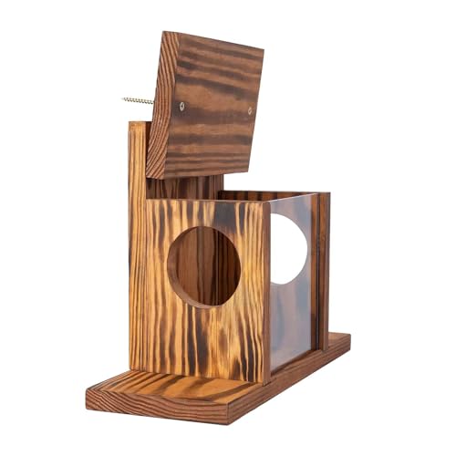 Holz Eichhörnchen Futterstation Outdoor Box Großes Kiefernhörnchen Haus mit transparenter Acryl-Frontplatte Flip-Top Maisfrüchte für Garten Braun von SHINROAD