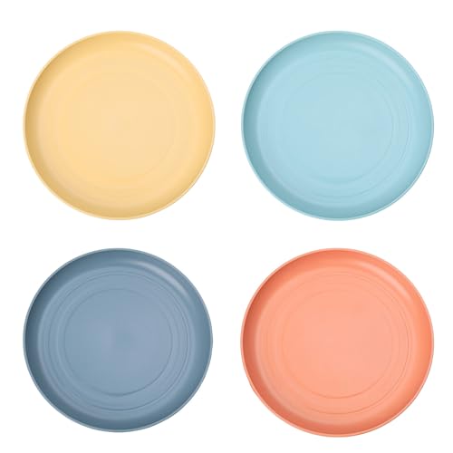 SHINROAD Einfach zu reinigende Teller Geruchsloser Bretter 4 PCs Leichte unzerbrechliche Wiederverwendbare Geschirrspüler Mikrowave Safe Abendessen farbenfrohe Alltagsquadrat Runden 4 Stück von SHINROAD