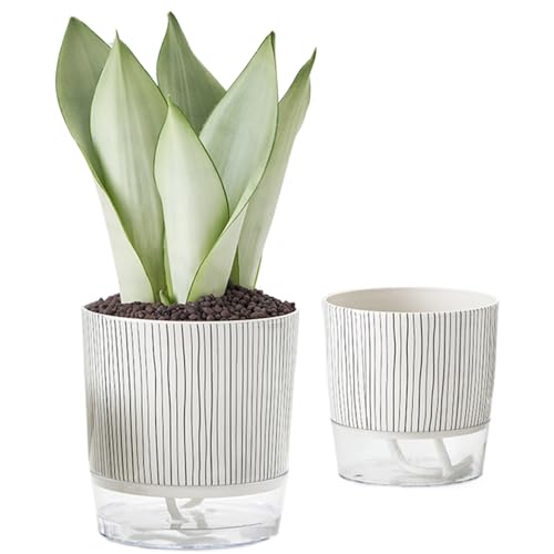 SHITOOMFE Selbstbewässerungstöpfe 2PCS Selbstbewässerung Pflanzer 4.3 '' & 5,5 '' Selbstbewässerungstöpfe mit tiefem Stausee Innenpflanztopf für Spinnenpflanzen, afrika von SHITOOMFE