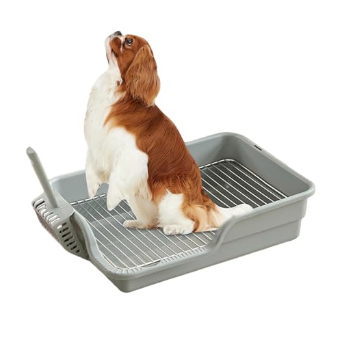 Welpentöpfchenschale, Hundetöpfchenschale, Edelstahl -Netzpuppen mit Schutzwand & Schaufel, Halten Sie die Pfoten trockener Hundestreuel für kein Leck, Verschütten, Unfall Welpentöpfchenschale, Hundetöpfchenschale, Edelstahl -Netzpuppen mit Schutzwand & Schaufel, Halten Sie die Pfoten trockener Hundestreuel für kein Leck, Verschütten, Unfall von SHITOOMFE