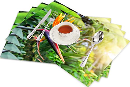 Tischsets für Esszimmer Küche Tisch 4er Set,Nahaufnahme Bild von Strelitzia Reginae Bird of Paradise Flower Insel Madeira Portugal,Hitzebeständig Tischmatte Home Dekoration Abwaschbar Platzset von SHIVNAMI