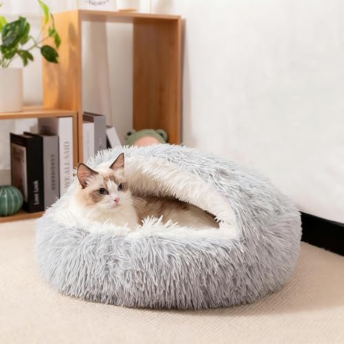 SHJOEE Flauschig Hundebett Muschelform 60cm Katzenbett Warm Tierbett Haustierbett Waschbar Hundesofa Katzensofa Plüsch Hundekorb Katzenkorb Weiche Kuschelbett für Den Schlaf im Innenbereich von SHJOEE