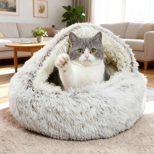 SHJOEE Flauschig Hundebett Muschelform 60cm Katzenbett Warm Tierbett Haustierbett Waschbar Hundesofa Katzensofa Plüsch Hundekorb Katzenkorb Weiche Kuschelbett für Den Schlaf im Innenbereich von SHJOEE