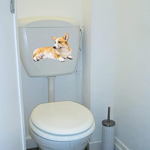 Deckel Aufkleber Shiba Inu Toilette Wc-Abdeckung Aufkleber Persönlichkeit Home Wall Decor Deckel Aufkleber Shiba Inu Toilette Wc-Abdeckung Aufkleber Persönlichkeit Home Wall Decor von SHMAZ