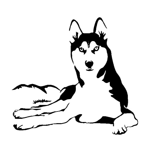 SHMAZ 15 cm x 14 cm Husky Hund Auto Aufkleber Schwarz/Silber SHMAZ 15 cm x 14 cm Husky Hund Auto Aufkleber Schwarz/Silber von SHMAZ