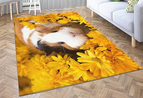 SHOMEY Teppich Wohnzimmer Tier Meerschweinchen 160x230 cm Home Kurzflor Teppich, Teppich Waschbar, Teppich Flauschig, Schlafzimmer Teppich, Weicher Teppich von SHOMEY