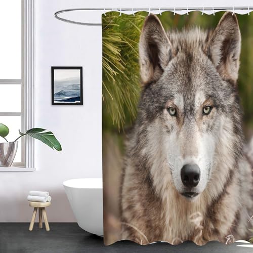 SHROUDEX Wolf Duschvorhang 180x180 180x200 Textil, Waldtiere Wolf Shower Curtains & 12 Duschvorhänge Ringe, Tier Wolf Duschvorhänge Für Badzimmer (1,180 x 200 cm) von SHROUDEX