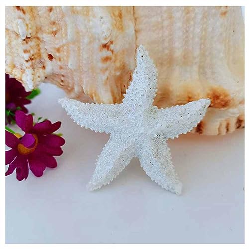 SHTGOI Seesterne Harz Finger Seestern Bunt Gemischte Seestern Aquarium Pool Starfish Decor Mittelmeer Maritime Dekoration für Hochzeit Home Decor Strand Thema Craft Project 5.7cm Weiß3# von SHTGOI