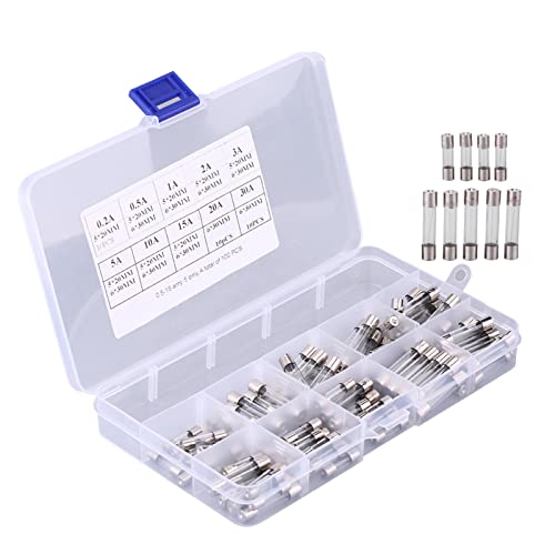 SHUAIGUO 100pcs 5x20mm 6x30mm Sortiment Car Glassrohr-Sicherungskit, 0,2a-30a, 10 Ampere, Transparentes Design für Einfache Inspektion, Bequeme Aufbewahrungsbox SHUAIGUO 100pcs 5x20mm 6x30mm Sortiment Car Glassrohr-Sicherungskit, 0,2a-30a, 10 Ampere, Transparentes Design für Einfache Inspektion, Bequeme Aufbewahrungsbox von SHUAIGUO