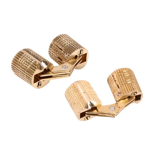 SHUAIGUO Kupfer Versteckte Schrankscharniere 4pc Set 10 Mm 12 Mm 14 16 Barrelscharniere für -Projekte (10 mm) von SHUAIGUO