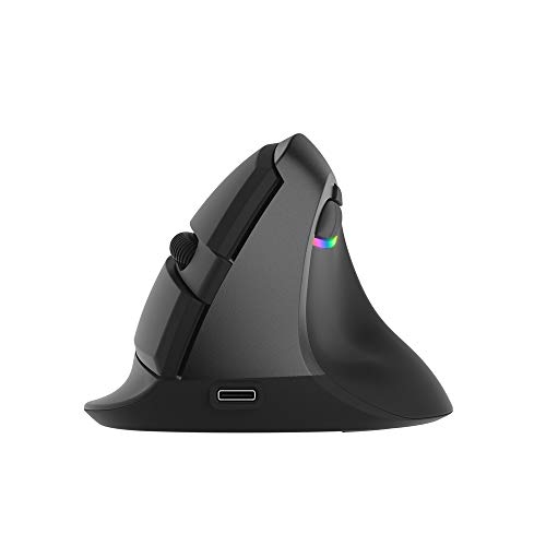 SHUAIGUO M618mini Wireless Ergonomische Vertikale Optische Maus RGB-Licht Dual Mode Mäuse 2,4 GHz Wireless + BT 4.0 für PC Laptop (Eisengrau) von SHUAIGUO