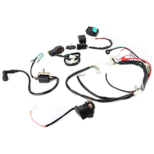 SHUAIGUO Pit Quad Dirt Bike ATV Elektrische Startmotor -Kabelbaumkabine, PVC & ABS, Spannungsstabilisator, Verbesserte Zündleistung, Einfache und Sichere Installation SHUAIGUO Pit Quad Dirt Bike ATV Elektrische Startmotor -Kabelbaumkabine, PVC & ABS, Spannungsstabilisator, Verbesserte Zündleistung, Einfache und Sichere Installation von SHUAIGUO