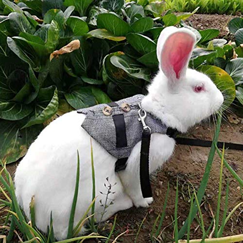 SHUAIGUO Weicher Kaninchen Atmungsaktives Gurt mit Leine, Gentleman -Stil - Fluchtproof, Premium Material, Vielseitiger Gebrauch für Haustierfreunde (S) von SHUAIGUO