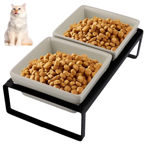 Grau Futternapf Katze Hund Fressnapf Katze Katzennapf Erhöht mit Napf Ständer - Hundenapf Keramik - 2er Katzen Napfset für Katzen Hunde Welpe Futter Grau Futternapf Katze Hund Fressnapf Katze Katzennapf Erhöht mit Napf Ständer - Hundenapf Keramik - 2er Katzen Napfset für Katzen Hunde Welpe Futter von SHUESS