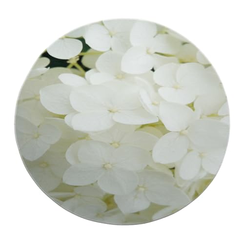 Elegante Florale runde Teppiche 120cm - weiße Hortensie Faltbarer runder Teppich für Schlafzimmer Wohnzimmer Rutschfester Eingangsbereich Foyer Sofa Matte von SHUODAOCO