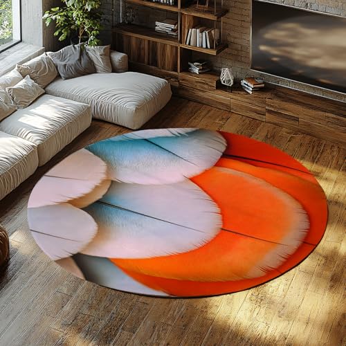SHUODAOCO Bunte Vogelfedern Runde Fläche Teppiche 90cm - Eingangsbereich Waschbar Niederflor Kreis Teppich Orange Blau Weiß Druck für Wohnzimmer Foyer Sofa SHUODAOCO Bunte Vogelfedern Runde Fläche Teppiche 90cm - Eingangsbereich Waschbar Niederflor Kreis Teppich Orange Blau Weiß Druck für Wohnzimmer Foyer Sofa von SHUODAOCO