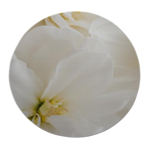 SHUODAOCO Eleganter Faltbarer runder Überwurfteppich für das Wohnzimmer 100cm - Schlafzimmer weiße Blumenkreisteppiche niedriger Flor weich für Balkon Nachttisch Ankleidebereich Schlafsaal von SHUODAOCO