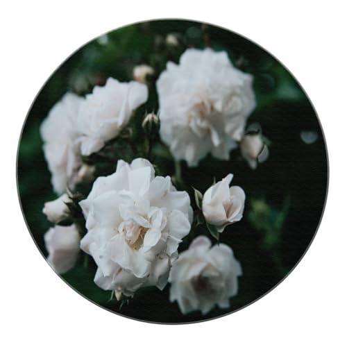 SHUODAOCO Eleganter Stil White Rose Circular Teppich - Blumen waschbar Küche Weiche runde Teppiche für Bauernhaus Mädchen Schlafzimmer Kinderzimmer Sofa 100cm von SHUODAOCO