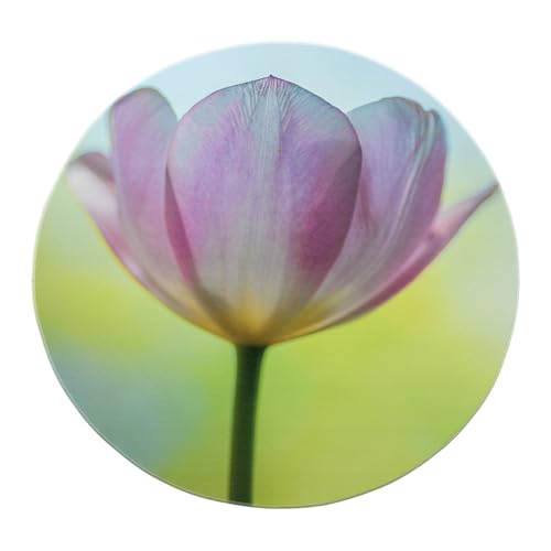 SHUODAOCO Eleganter botanischer Faltbarer runder Teppich 90cm - Lila Tulpe weicher Blumenkreis Teppich niedriger Flor für Eingangsbereich Schlafzimmer Kinderzimmer Mädchen Zimmer von SHUODAOCO